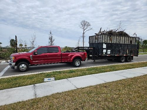  for Bay Area Bobcat in Riverview, FL