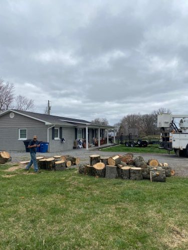 Fall and Spring Clean Up for Atwood’s Tree Care in Liberty,  KY