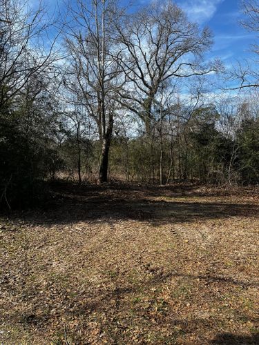 Tree Removal for H3 Land Management in Centerville, TX