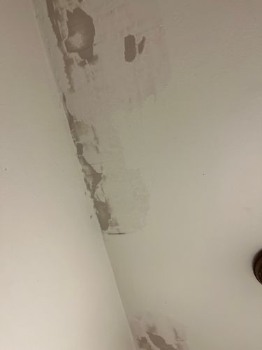  for Ridge Line Painters in Bridgewater Corners, VT