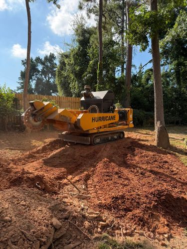 Stump Excavation for Dozier Stump Grinding in Augusta, GA