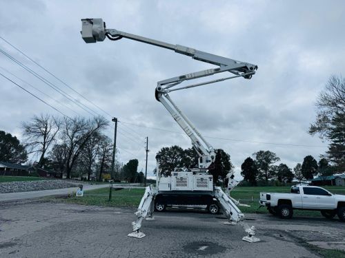 Tree Trimming for Lamb Brothers Clearing in Murray, KY