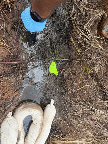 All Photos for Foothills Spill Response Team LLC in Spindale, NC