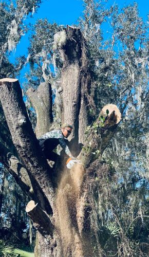 Tree Removal for Happy Saplings LLC in Navarre, FL