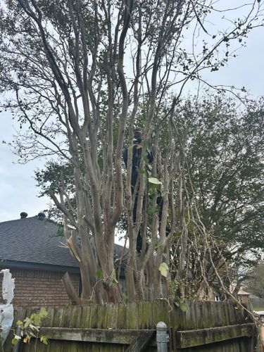  for D’s Lawncare in Killeen, TX