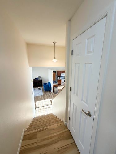 Interior Painting for Mr. Mole's Painting in Bemidji, MN