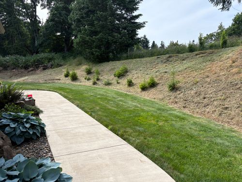 All Photos for JW&SON in Springfield, OR