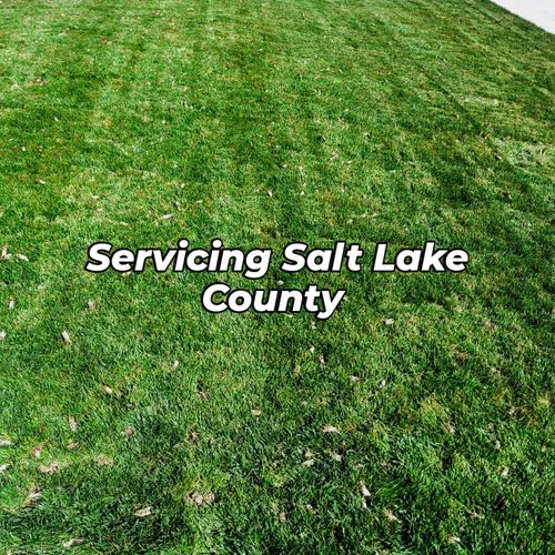 Lawn Maintenance for Silver Service Pros in Riverton, UT