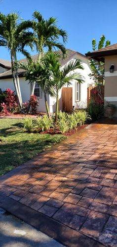 All Photos for Bridgewater Arbor Care LLC in Jupiter, FL