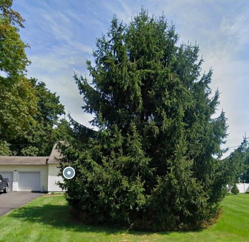 All Photos for Unique Outdoor Lighting in Short Hills, NJ