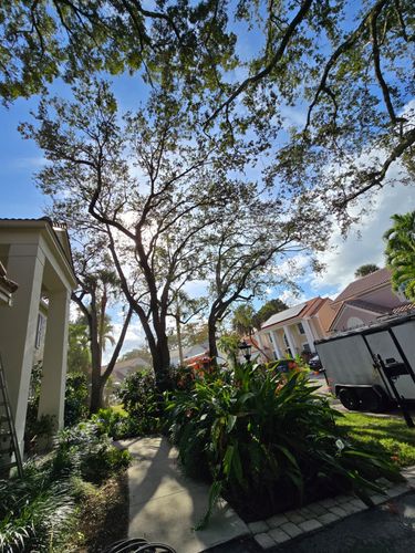 All Photos for Bridgewater Arbor Care LLC in Jupiter, FL