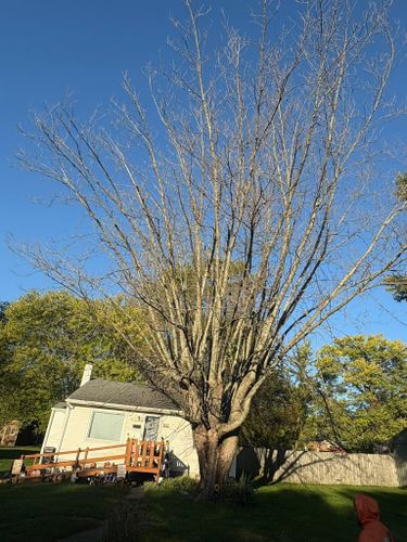 for Dig-It Tree Company in , 