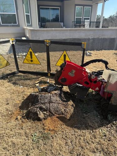 Tree Removal for Oakley’s Stump ‘N Grind in Leander, TX