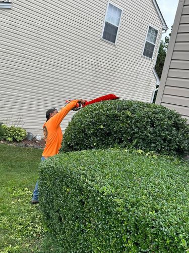  for Luna Landscaping and Construction in Parkville, MD