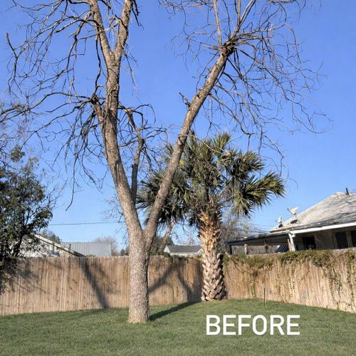 Landscape Installation for J and R Co. in San Antonio,  TX