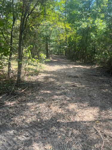  for 903 Mulching in East Mountain, TX