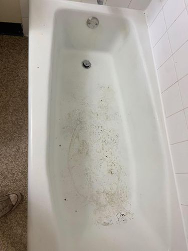  for The Domestic Goddess in Wisconsin Rapids, WI