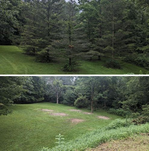 Stump Grinding for TW Services in Oppenheim, NY