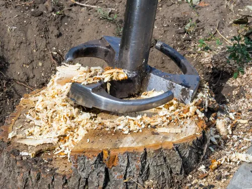 Stump Removal for Terra Heights Tree Experts & Landscaping  in Grass Valley,  CA