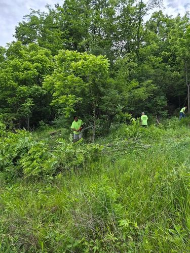 All Photos for Carpenter's Tree Service in Aurora, IN