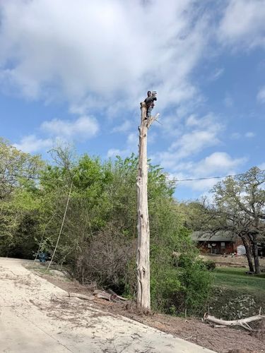 Tree Trimming for Year Round Trees & Concrete Inc. in Fort Worth, TX