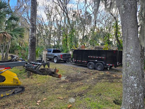 Storm Debris Removal for Near Me Tree Service, Inc. in DeLand, FL