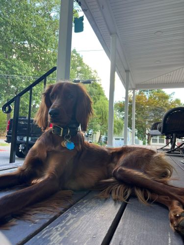  for Stephen Logue Electric in Billerica, MA