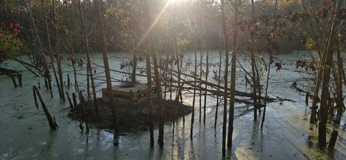  for Wildlife Predator LLC in Lugoff, SC