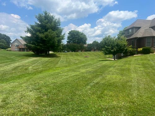 All Photos for The Yard Barbers in Somerset, KY