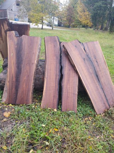 Wood Slabs for Bennett Logging in Gosport, Indiana