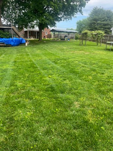 All Photos for The Yard Barbers in Somerset, KY