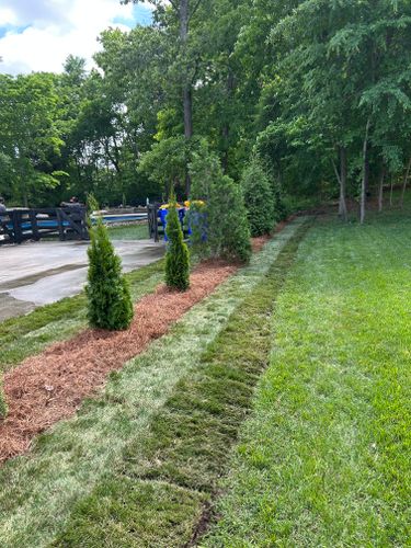 Mulch Installation for Optimum Tree Service And Landscaping in Bowling Green, KY