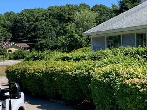 Hedge Trimming for Murray Mowing and More in Ashaway, RI