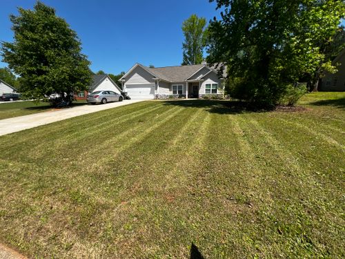 Lawn Care and Maintenance for Buildscape in Covington, GA