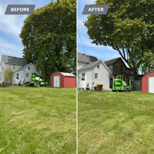 Tree Trimming for Fransen's Tree Service  in Freeport, IL
