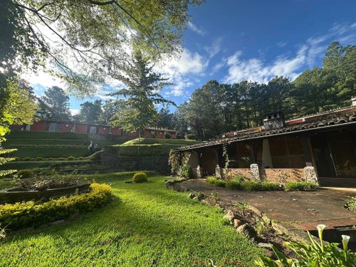  for Austin's Lawn Enforcement in Austin, TX