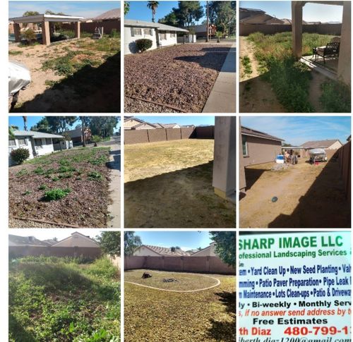 Lawn Maintenance / clean ups for Sharp Image LLC Landscaping & Hardscape in Phoenix, AZ