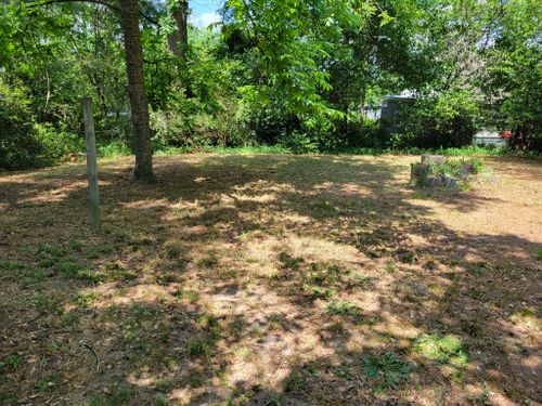 Stump Grinding for Wright's Land Management, LLC in Macon, GA