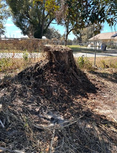  for Greene Acres Stump Grinding in Plant City, FL