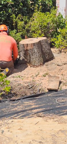  for Servin's Tree Care  in Houston, TX