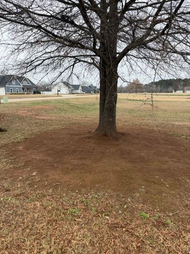 Bed Clean Up for Southern Outdoors Landscaping in Covington, GA