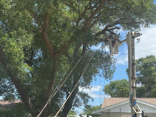  for Nick of Time Tree Service in North Port, FL