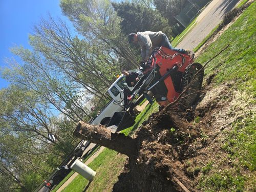  for D Hale Tree Service in Dexter, MI