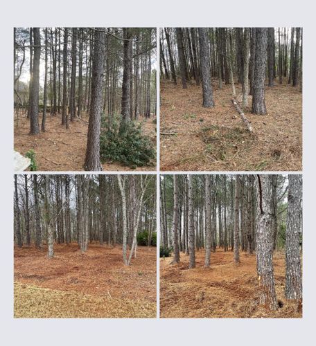 All Photos for G&H Forestry Mulching and Land Services in Fayetteville, GA