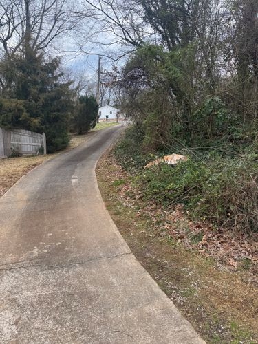  for R&M Property Maintenance in White Pine, TN