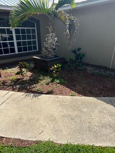 All Photos for Estrada All Pro Lawn Service in Auburndale, Florida