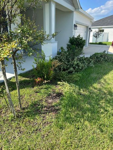 All Photos for Estrada All Pro Lawn Service in Auburndale, Florida