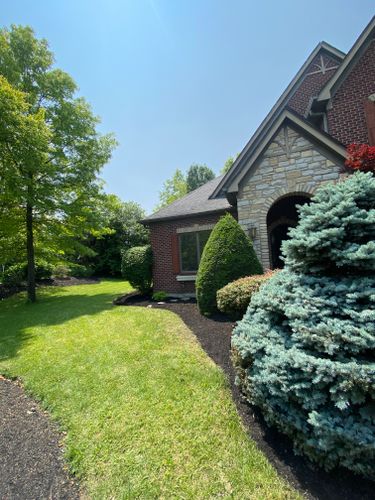 Shrub Trimming for Castle JR Landscaping & Painting LLC in Cincinnati, OH