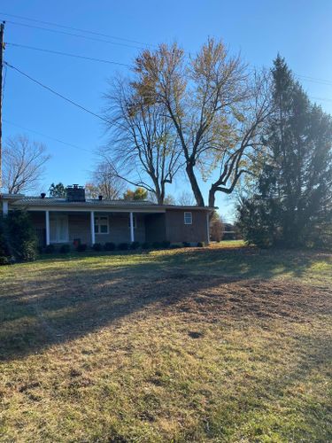 Tree Removal for Atwood’s Tree Care in Liberty,  KY