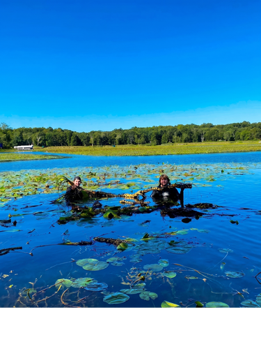 Weed Removal for JT’s Underwater Landscaping in Brainerd, MN